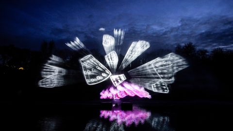 FORGED IN WATER Limbic Cinema (4)