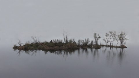 INSULA - sophie laly